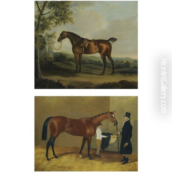 A Chestnut Hunter In A Landscape With Ruins Beyond (+ Portrait Of The Famed Racehorse Sir Tatton Skytes After Frederick Herring Snr.; 2 Works) Oil Painting by Francis Sartorius the Elder