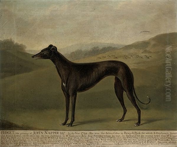 Fidget, A Greyhound, In A Landscape Oil Painting by Francis Sartorius the Elder