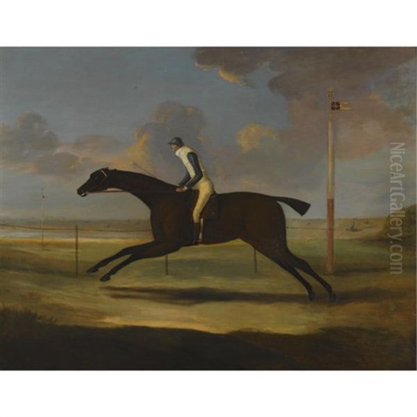 "scorpion", With Jockey Up, Being Exercised On Musselburgh Racecourse Oil Painting by Francis Sartorius the Elder