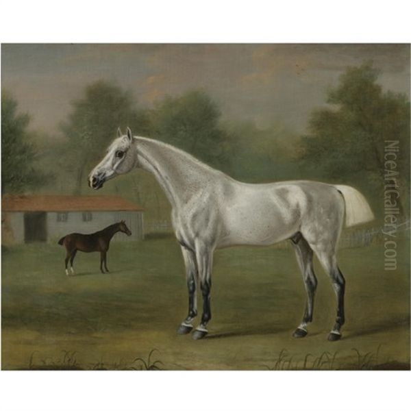 A Grey Horse Oil Painting by Francis Sartorius the Elder