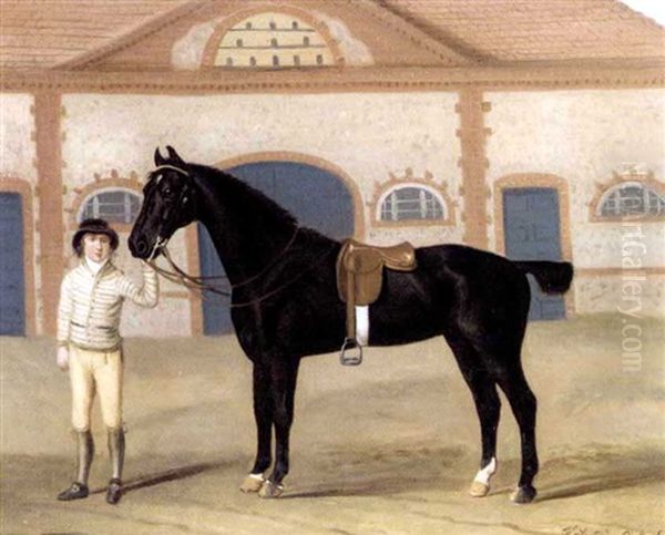 A Dark Bay Hunter Held By A Groom In A Stable Yard Oil Painting by Francis Sartorius the Elder