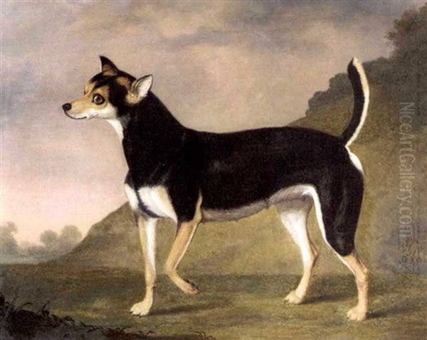 A Terrier In A Landscape Oil Painting by Francis Sartorius the Elder