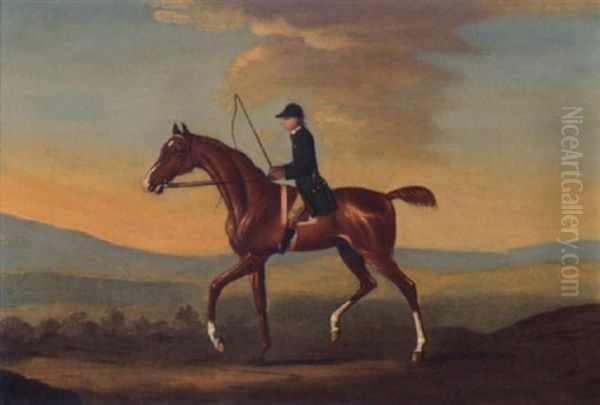 A Gentleman On A Chestnut Hunter Oil Painting by Francis Sartorius the Elder