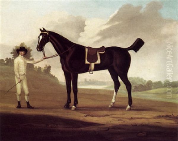 Firetail, A Bay Hunter Held By A Groom In A Landscape Oil Painting by Francis Sartorius the Elder