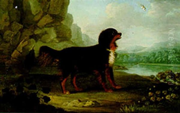 A Favourite Dog In A Landscape Oil Painting by Francis Sartorius the Elder