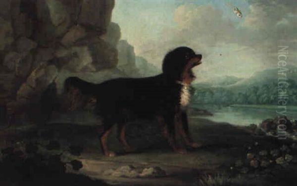 Favourite Dog In Landscape With Butterfly Oil Painting by Francis Sartorius the Elder