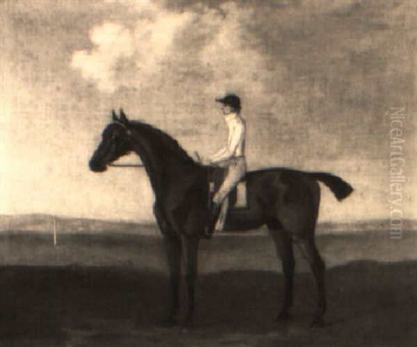 'ancaster', A Bay Racehorse With James Hawkins Up Oil Painting by Francis Sartorius the Elder