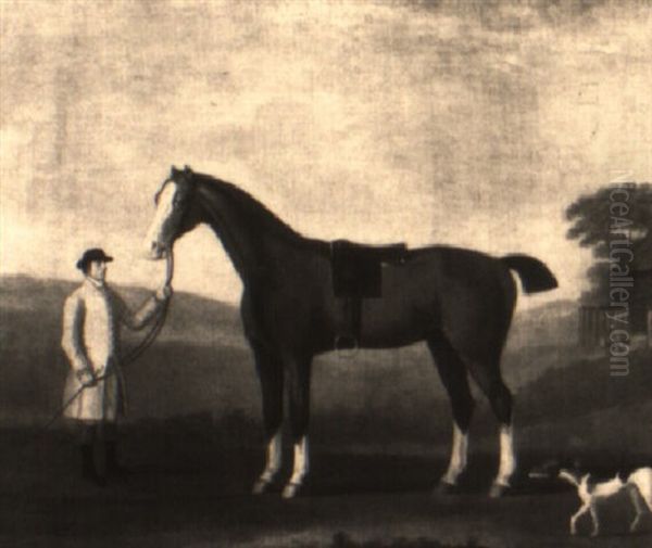 A Colt Out Of 'dorothy' By 'tortoise' Oil Painting by Francis Sartorius the Elder