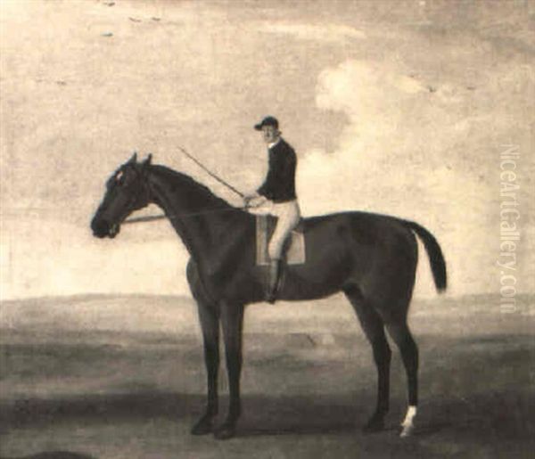 Bay Malton With Jockey Up Oil Painting by Francis Sartorius the Elder