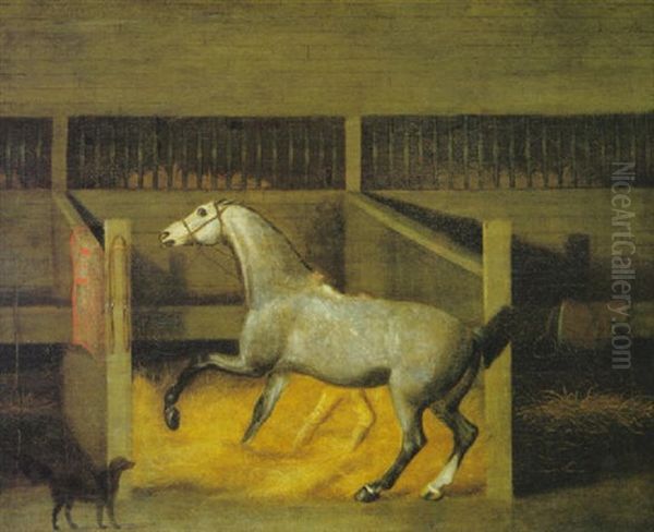 A Dappled Grey In A Stall Oil Painting by Francis Sartorius the Elder