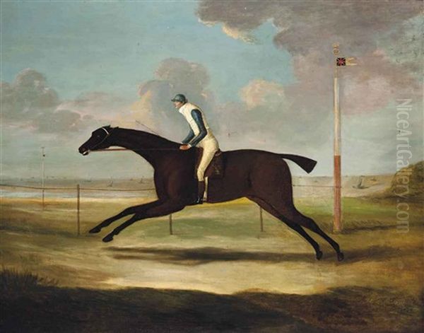 Scorpion, With Jockey Up, On Musselburgh Racecourse Oil Painting by Francis Sartorius the Younger