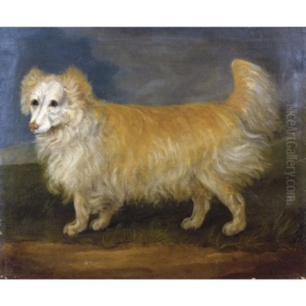 A Favourite Dog Oil Painting by John Francis Sartorius