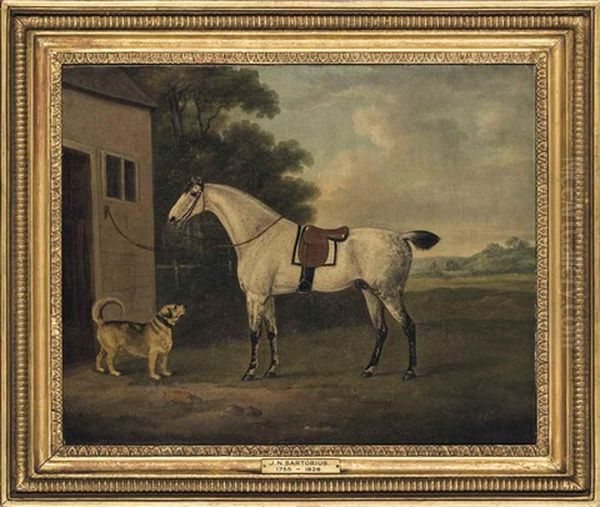 A Favourite Dappled Grey Hunter, And Hound, In A Landscape Oil Painting by John Nost Sartorius