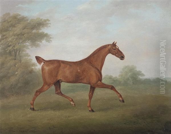 Bay Horse With Spaniel Oil Painting by John Nost Sartorius