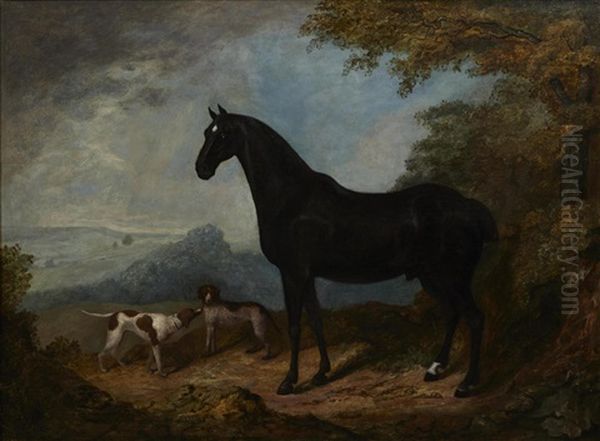 A Horse And Dogs In A Landscape Oil Painting by John Nost Sartorius