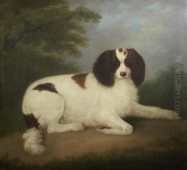 A Liver And White Spaniel Oil Painting by John Nost Sartorius