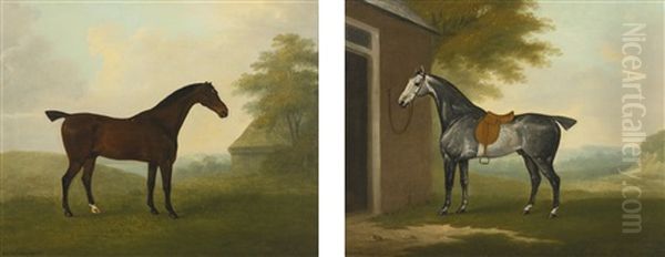 A Dappled Grey Hunter Tethered To A Stable And A Dark Bay Hunter In A Landscape (pair) Oil Painting by John Nost Sartorius