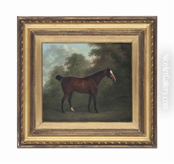 A Bay Horse In A Wooded Landscape Oil Painting by John Nost Sartorius