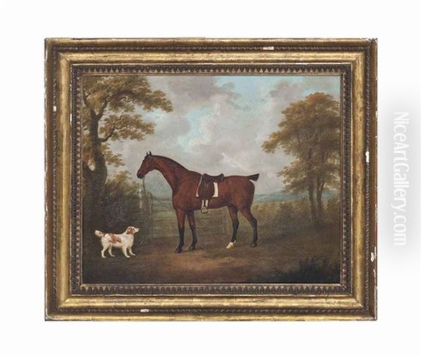 A Bay Hunter And A Spaniel In A Paddock Oil Painting by John Nost Sartorius