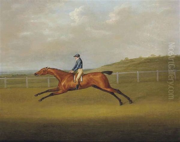 Comrade Portant Les Couleurs De Lansdale Sur Un Champ De Course Oil Painting by John Nost Sartorius