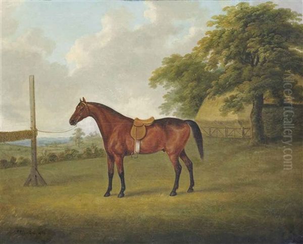 Un Cheval Bai Selle Dans Un Champ Oil Painting by John Nost Sartorius