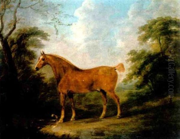 A Chestnut Horse Standing In A Wooded Landscape by John Nost Sartorius