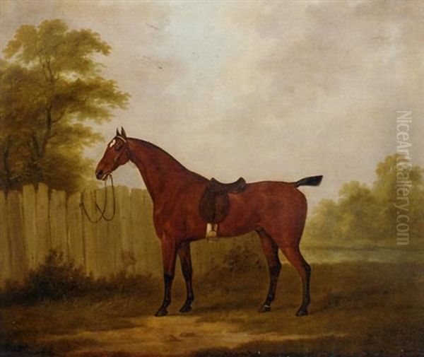 A Saddled Bay Hunter In A Landscape Oil Painting by John Nost Sartorius