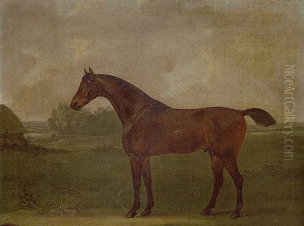 Horse In A Landscape Oil Painting by John Nost Sartorius