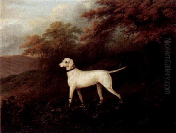 A Pointer Approaching Partridge In A Landscape by John Nost Sartorius