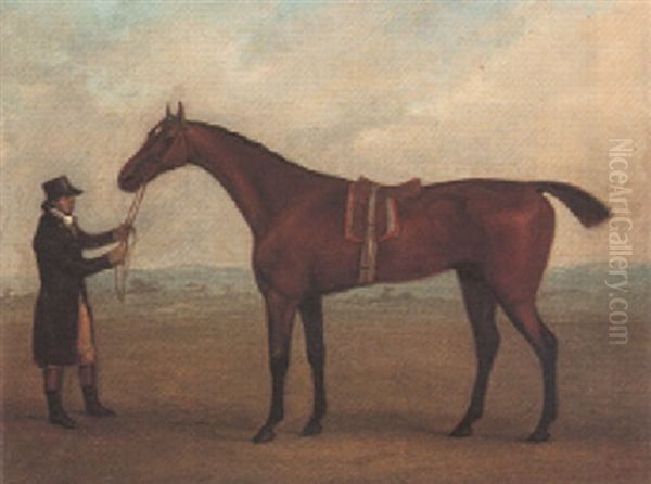 Champion, A Bay Racehorse, Held By A Groom Oil Painting by John Nost Sartorius