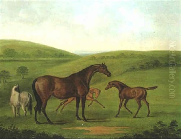 Mares And Foals In Landscape Oil Painting by John Nost Sartorius