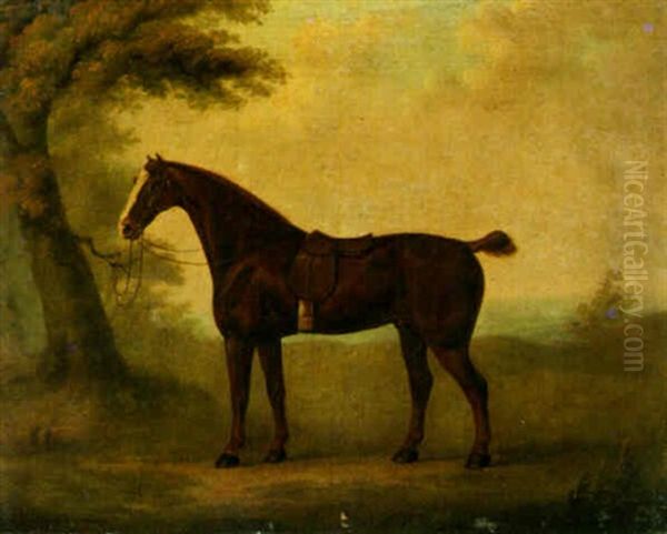 A Cob, Belonging To King George Iii Oil Painting by John Nost Sartorius