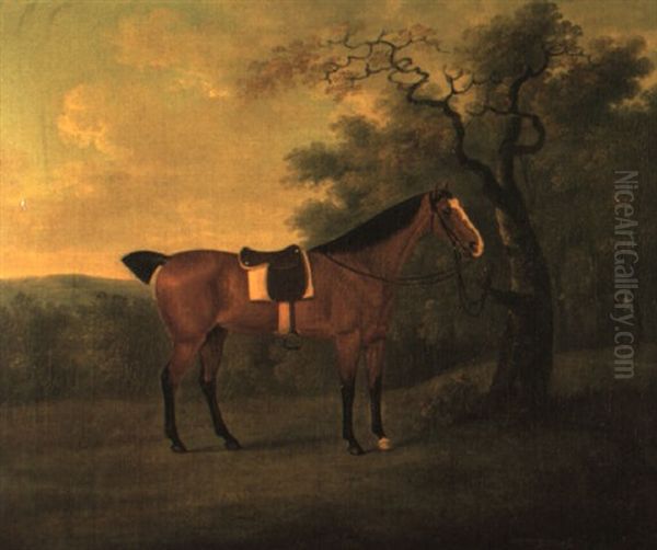 'floss', A Saddled Bay Hunter Tied To A Tree In A Landscape Oil Painting by John Nost Sartorius