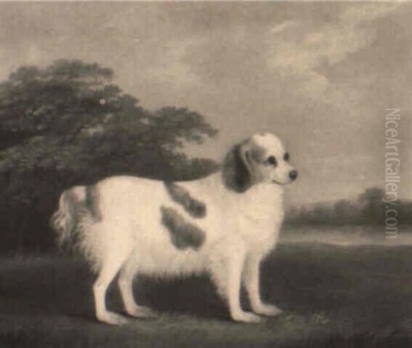 A King Charles Spaniel Oil Painting by John Nost Sartorius