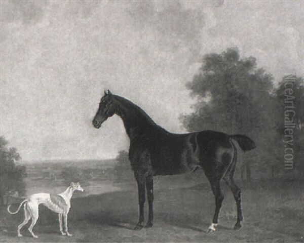 A Dark Bay Hunter And A Greyhound In A Landscape by John Nost Sartorius