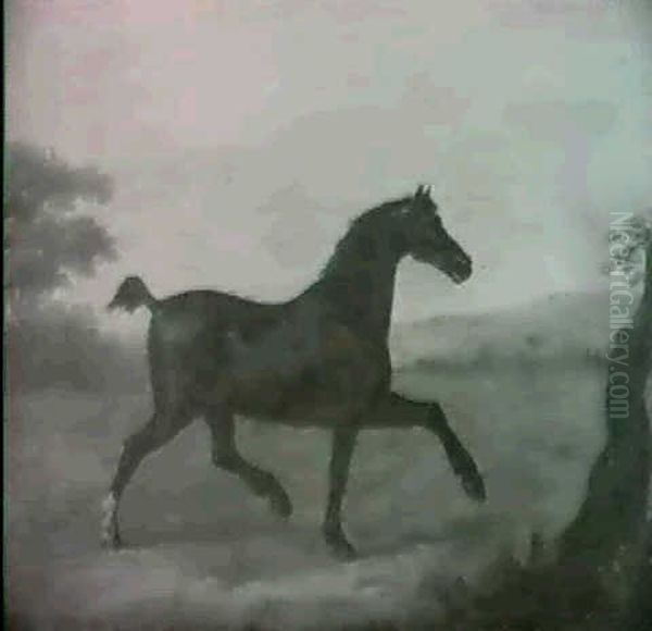 Minerva, The Wonderful Trotting Horse In A Landscape Oil Painting by John Nost Sartorius