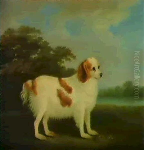 A Favourite Spaniel In A Landscape Oil Painting by John Nost Sartorius