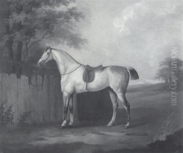 A Mottled Grey Hunter Bridled To A Fence Oil Painting by John Nost Sartorius