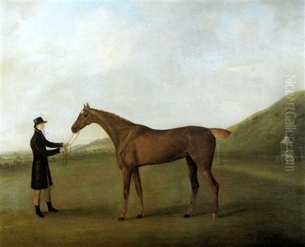 The Brown Mare 'barbara' Held By A Groom On A Racecourse Oil Painting by John Nost Sartorius