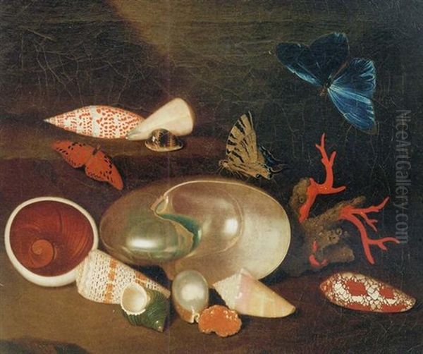 A Still Life Of Shells And Butterflies: A Nautilus, A Horse Conch, A Pearl Oyster, An Atlantic Bubble, A Green Turban, An Alphabet Cone, A Muffin Snail, A Chambered Nautilus And Others Oil Painting by Philipp Sauerland