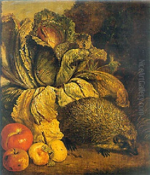 A Hedgehog, A Cabbage And Apples At The Foot Of A Tree Oil Painting by Philip Saurland