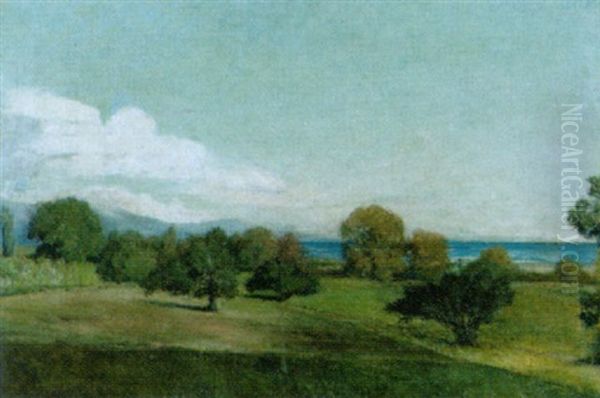 Landschaft Am Genfersee An Einem Sonnigen Nachmittag Oil Painting by Horace De Saussure