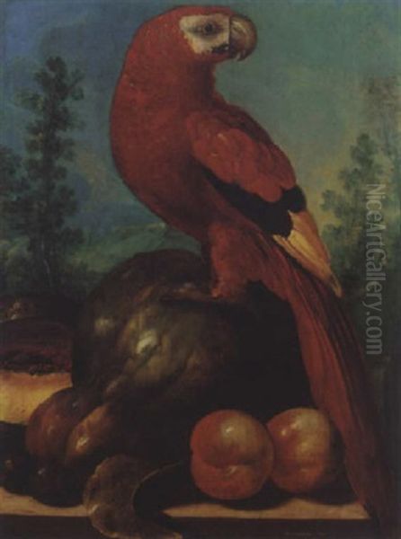 Still Life Of A Macaw Together With Melons, Peaches, And Plums Upon A Stone Ledge Oil Painting by Roelandt Savery