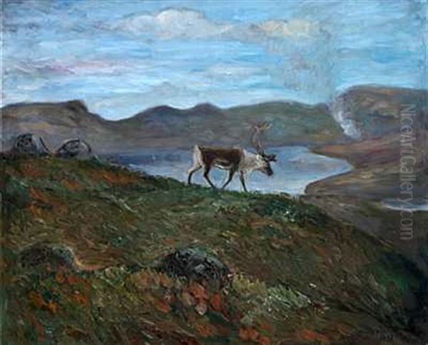 Rein I Hoyfjellet by John Andreas Savio