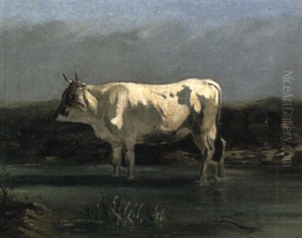 A Bull Standing In A Stream Oil Painting by Hendrik Savry