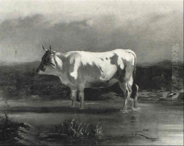 Bull Standing In A Stream Oil Painting by Hendrik Savry