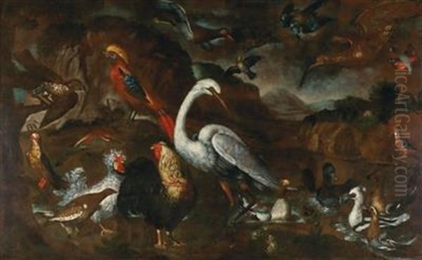 Native And Exotic Birds From The Aviaries Of Grand Duke Cosimo Iii Of Tuscany Oil Painting by Pietre-Neri Scacciati