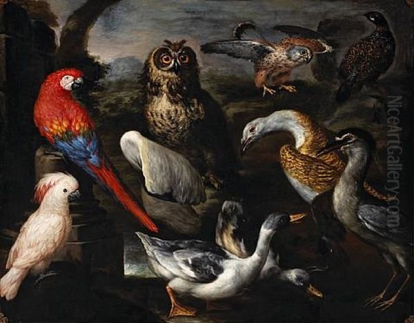 Exotic Birds In A Landscape Oil Painting by Pietre-Neri Scacciati