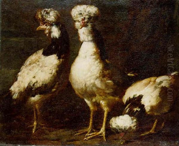 Three Crested Fowl Oil Painting by Pietre-Neri Scacciati