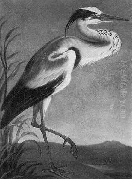 A Heron Standing In A Landscape by Pietre-Neri Scacciati